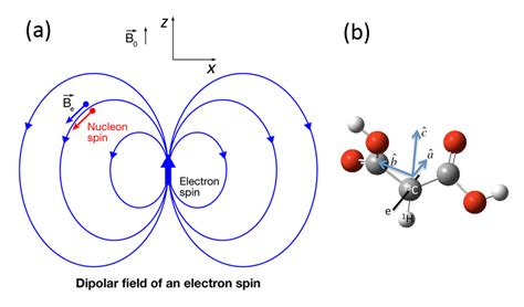 measure electron spin polarimeter|nuclear physics electron spin.